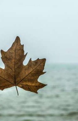 Осений эпитет