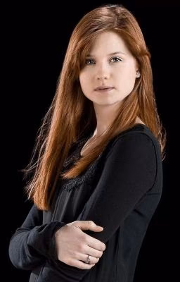 Дневник Джинни Уизли.