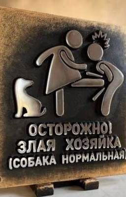 где я?