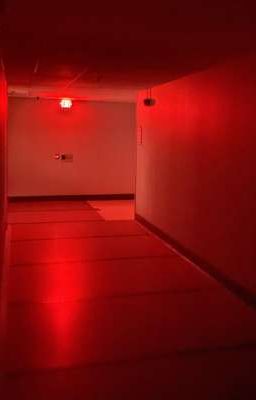 Комната номер 505