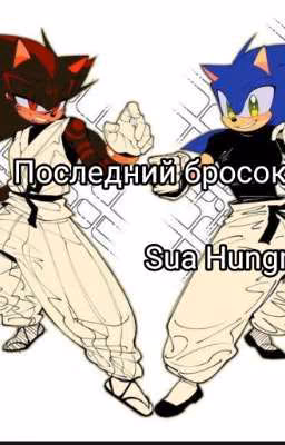 последний бросок || Sonadow.