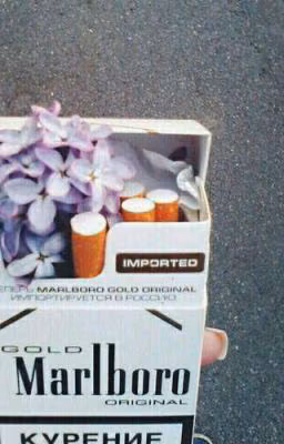 Пачка Marlboro и учебник биологии.