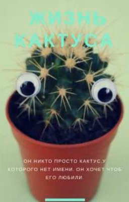 Жизнь кактуса...