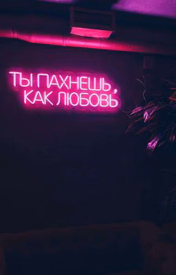 от ненависти до любви