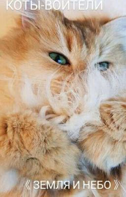 КОТЫ ВОИТЕЛИ 《ЗЕМЛЯ И НЕБО》