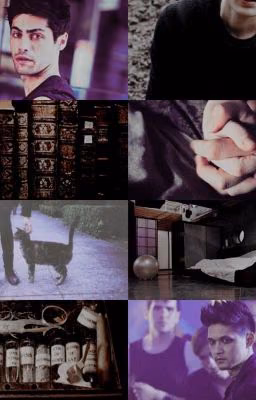 ➰malec➰