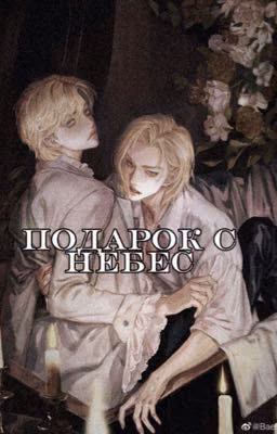 Подарок с небес ~ Хёнликсы~
