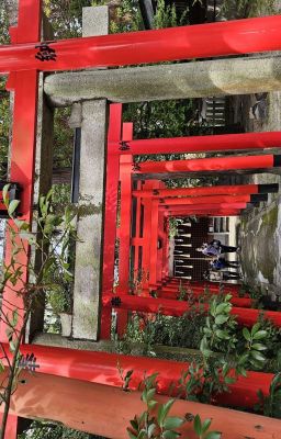 Сон. Охота на себя