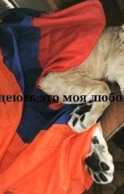 я надеюсь,это моя любовь.(КАВКАЗ)