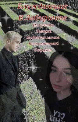Блуждающие в Лабиринте
