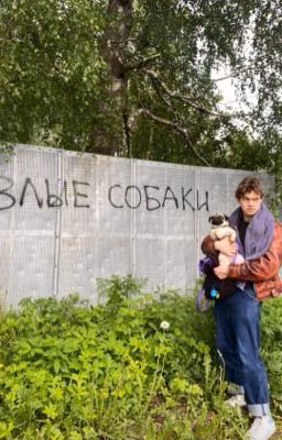 Ласковый Пёс || Турбо