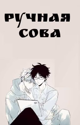 Ручная Сова |Закончен|