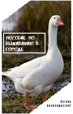 Пособие по выживанию в городе