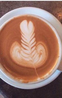Hey, barista boy!    (Michifer fanfic)