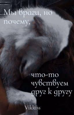 Мы враги, но почему, что-то чувствуем друг к другу?...