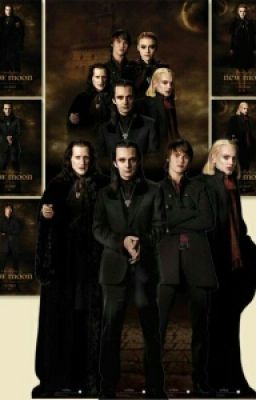 Сумерки.Сага.Вторая попытка