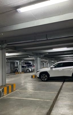 Меж двух миров