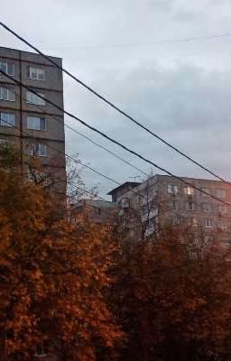 слово пацана реакции на ОЖП