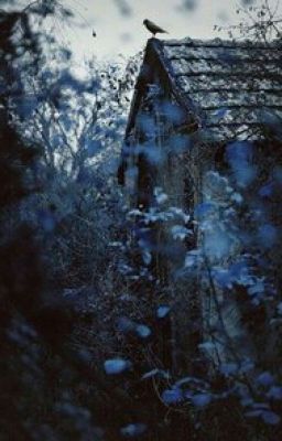 Новая Жизнь.