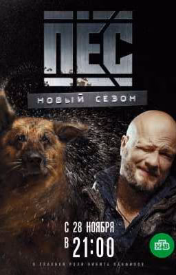 Будь моим счастьем  Максим/Ожп [Сериал Пёс]