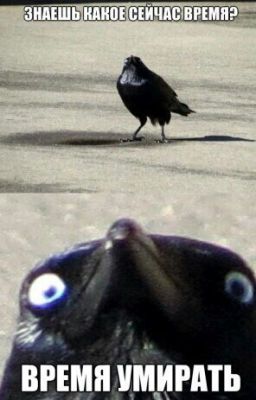 Факинщетмазафака (#Wattys2016)