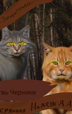 Коты Защитники |Потерянная Надежда|