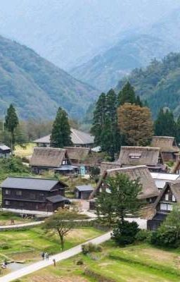 "Сельская жизнь"