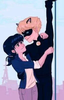 LadyBug And Cat Noir/Story of love