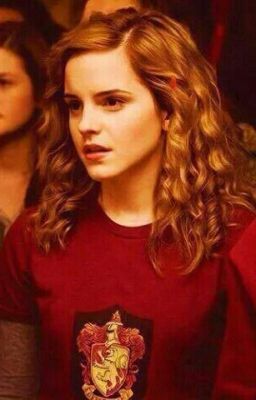 Знакомство с Грейнджер.Или коротко о том ,как я провела еще один год в Хогварце