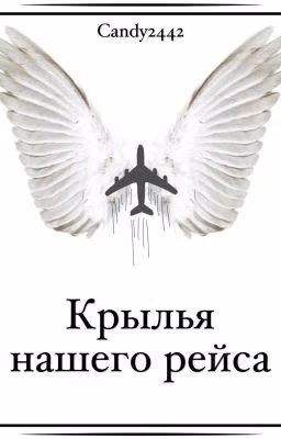 Крылья нашего рейса