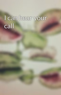 I can hear your call