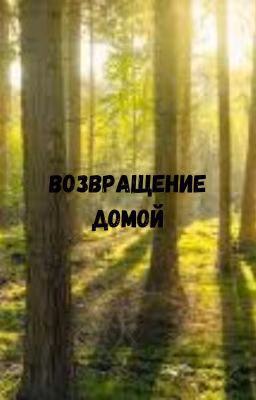 Возвращение домой