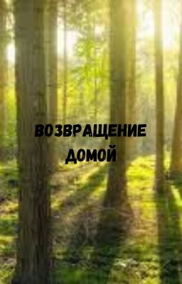 Возвращение домой