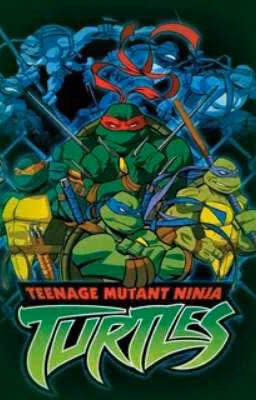 Сборник драбблов ~{TMNT 2003}~