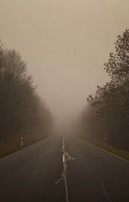 Дорога