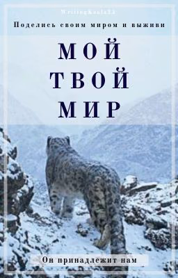 Мой твой мир