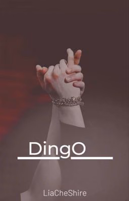 Dingo