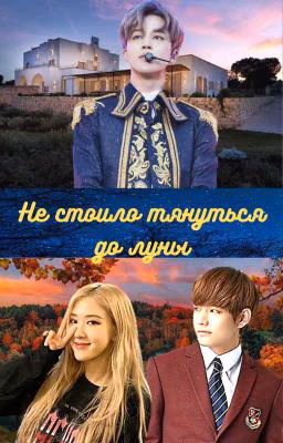 Не стоило тянуться до луны