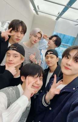 ⫷т/и 8 участица энхайпен⫸