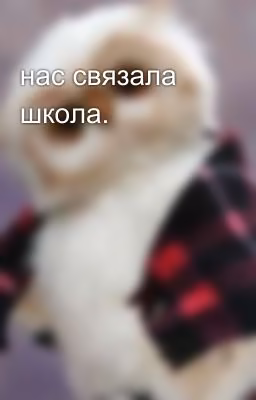 нас связала школа.