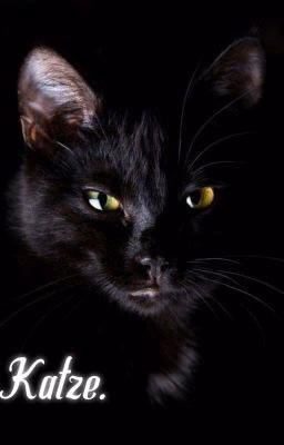 Katze.