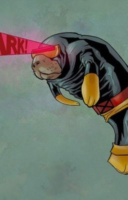 Красная книга. Черная книга.