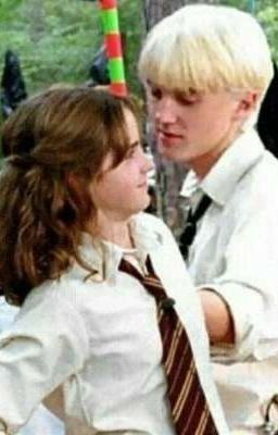 Идеальные враги