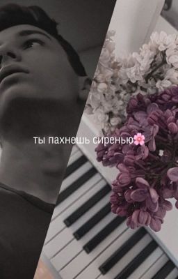 ты пахнешь сиренью🌸