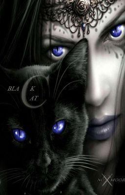 Black cat 2. New player