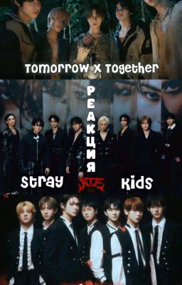 Pеакция Stray Kids, Enhypen, Txt