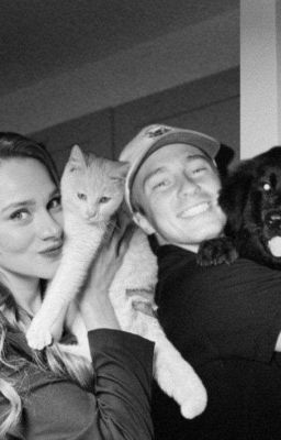 ночная сказка 