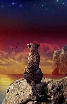 Коты-воители.Судьба племени.