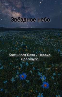 Звёздное небо