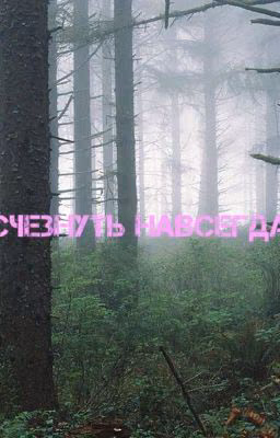 Исчезнуть навсегда.
